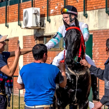 Reunión N°13